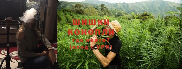 дмт Карпинск