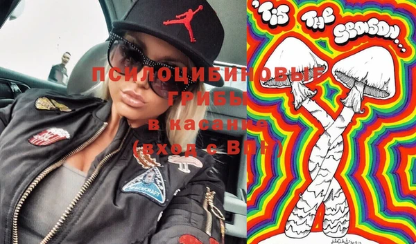 МДПВ Абдулино