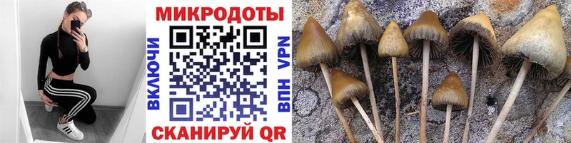 Галлюциногенные грибы ЛСД  наркота  Сычёвка 